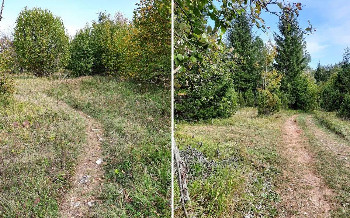 tara serbia 9a path field