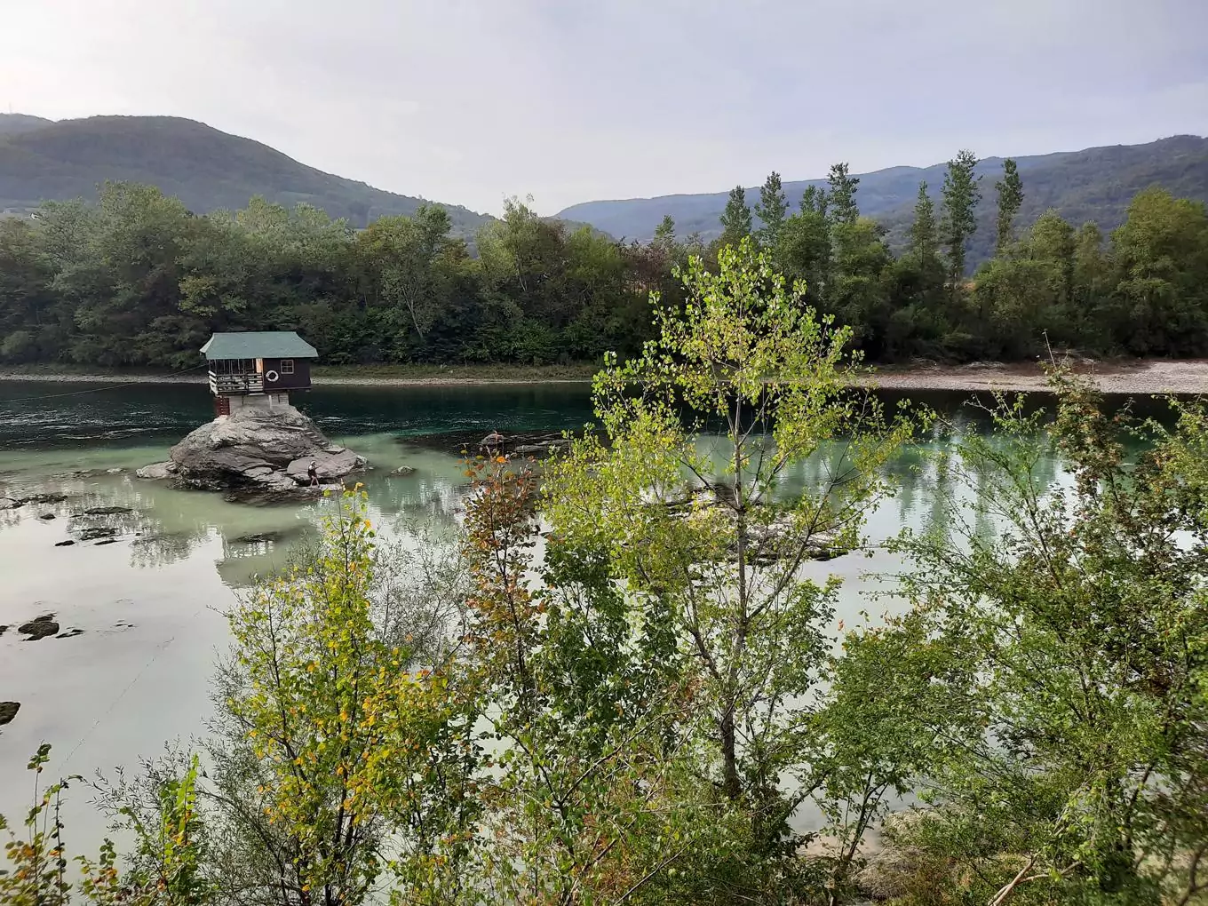 tara serbia drina river tree house