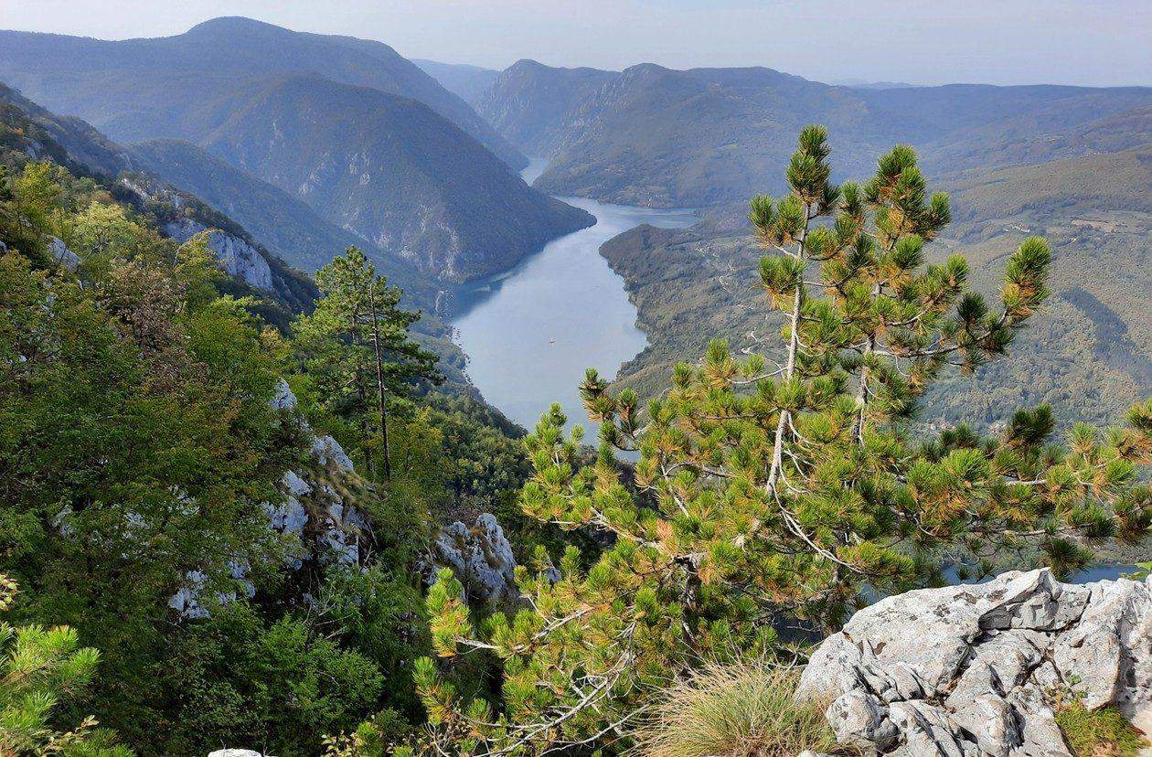 tara serbia viewpoint trees rocks