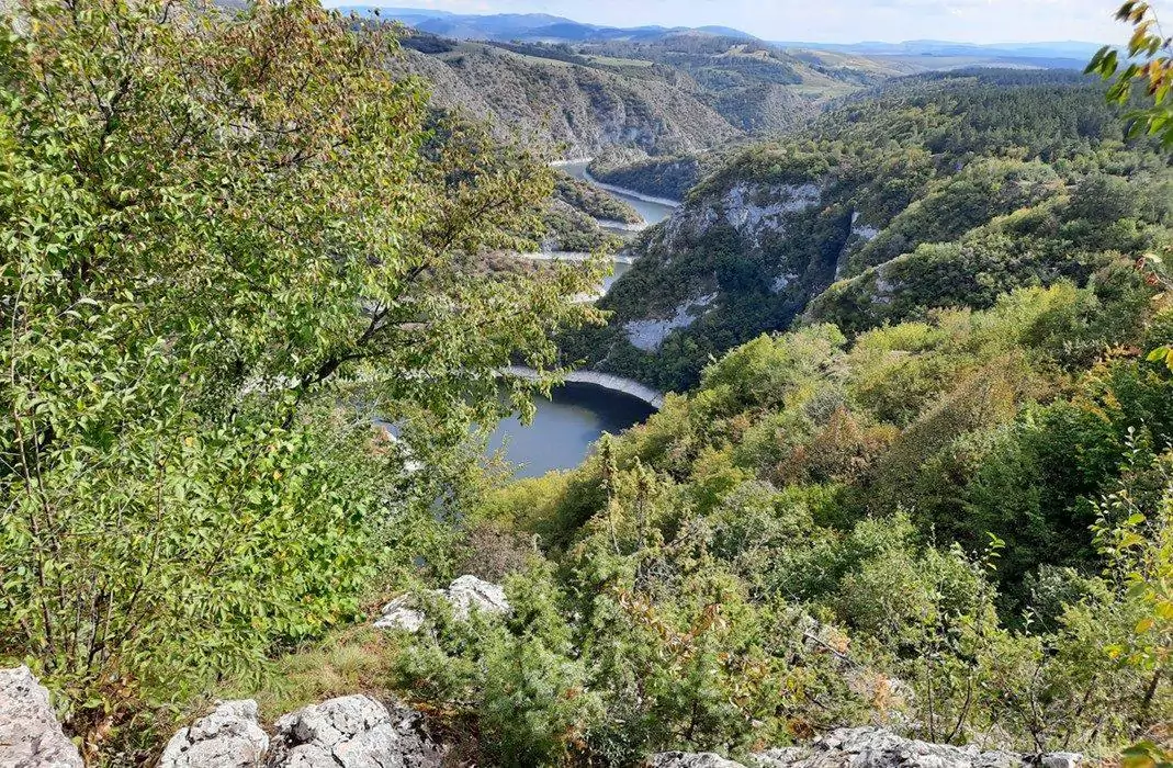 uvac serbia viewpoint forest