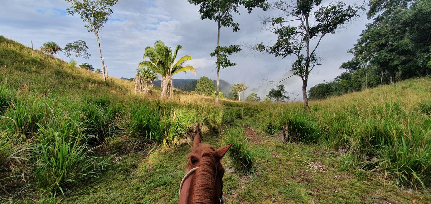 belize horseback riding