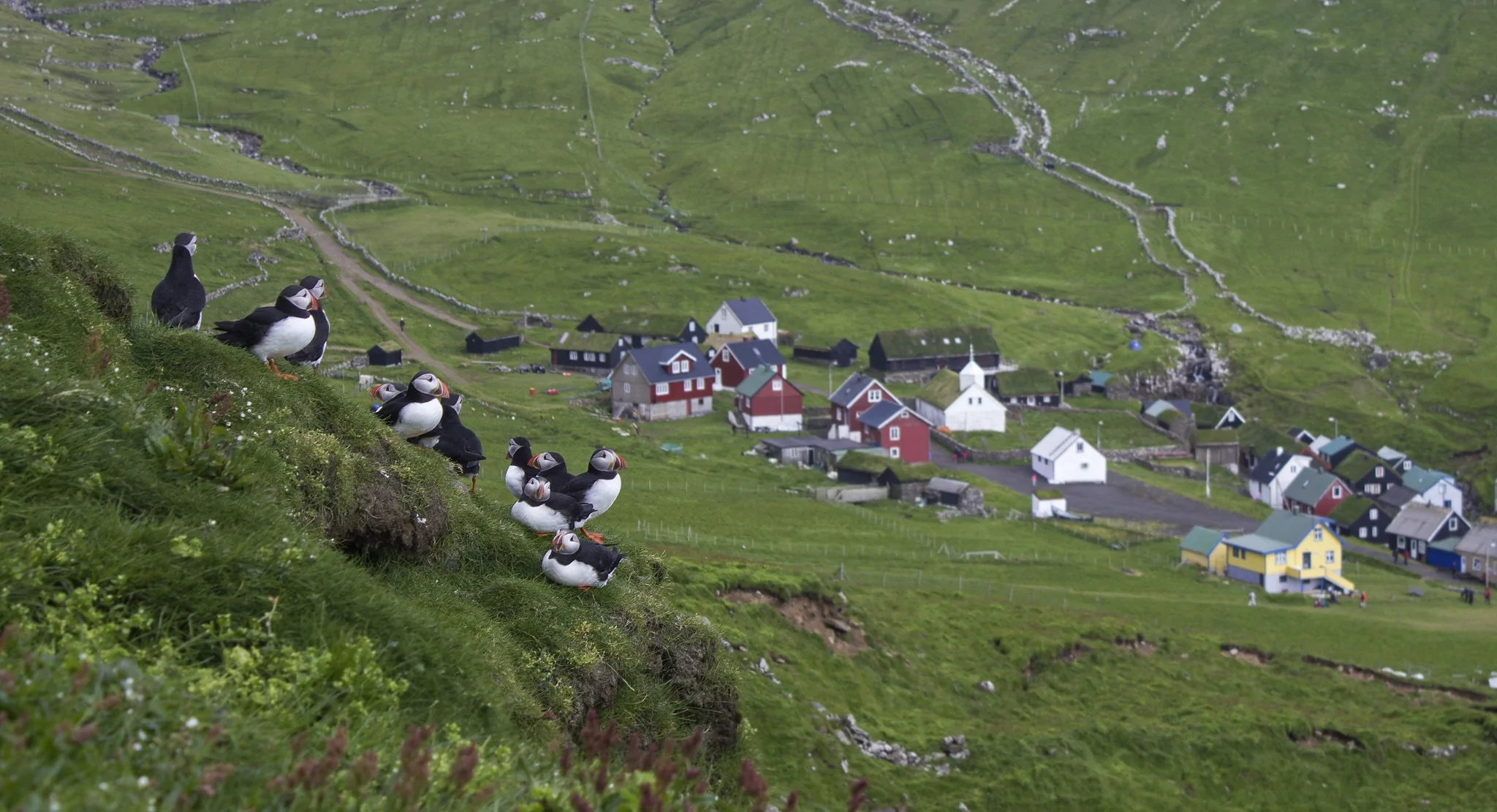 mykines faroe islands puffins village