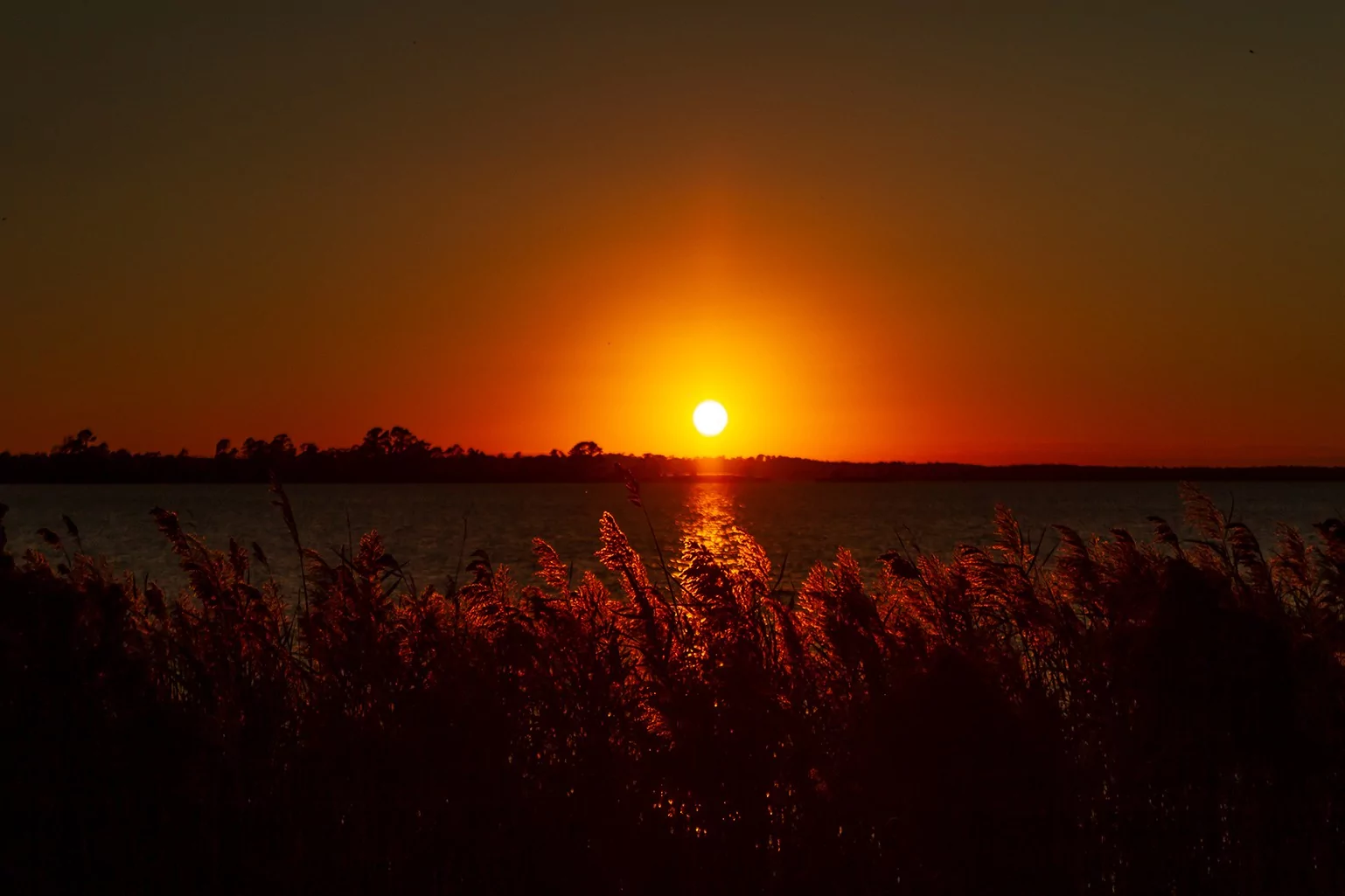 north carolina usa mattamuskeet national wildlife refuge sunrise