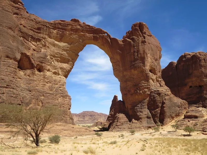 chad aloba arch