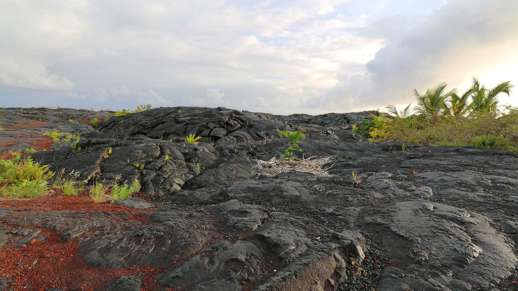hawaii usa kaimu beach park lava