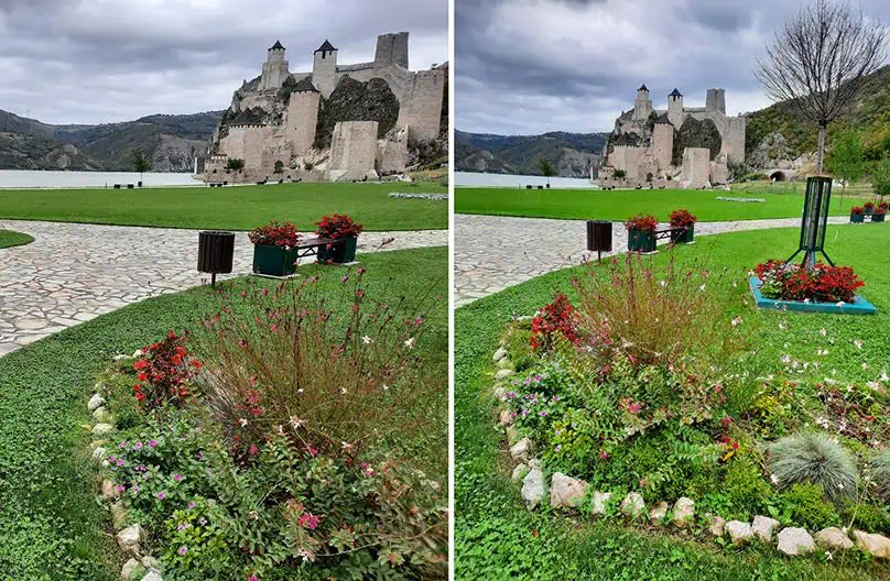 golubac fortress serbia flowers