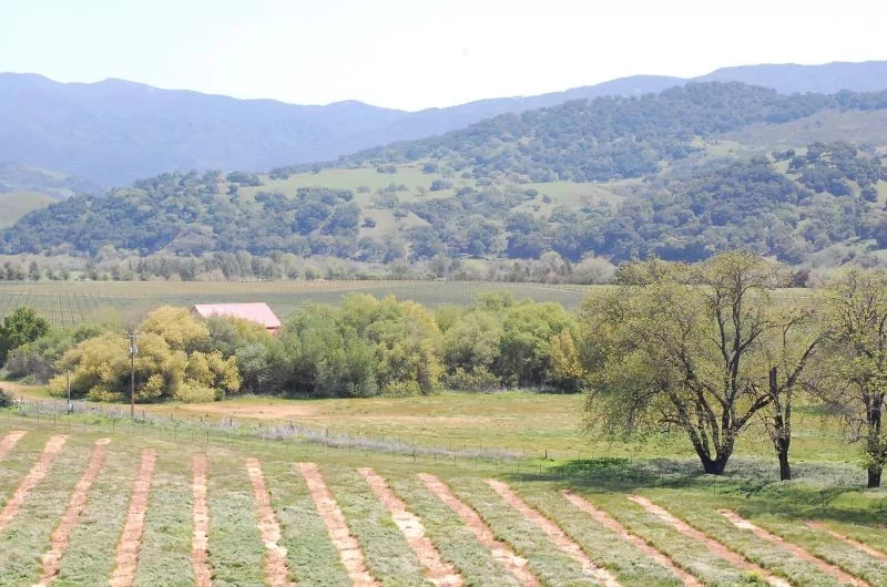 solvang california usa countryside