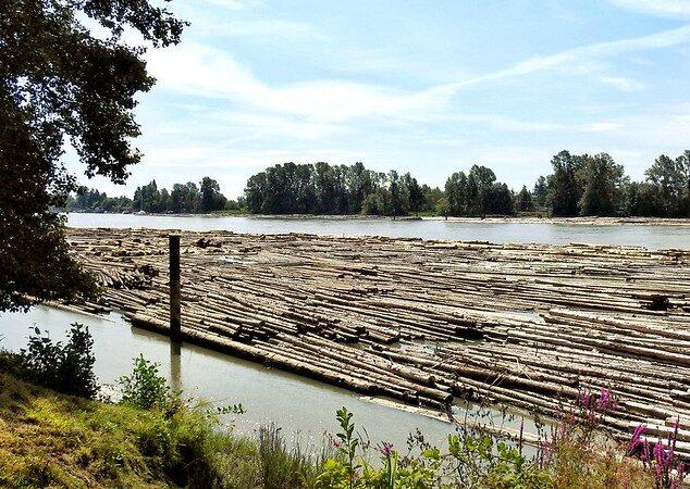 vancouver british columbia canada fraser foreshore trail