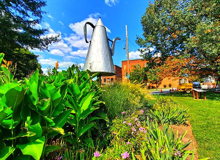 old salem coffee pot north carolina us plants