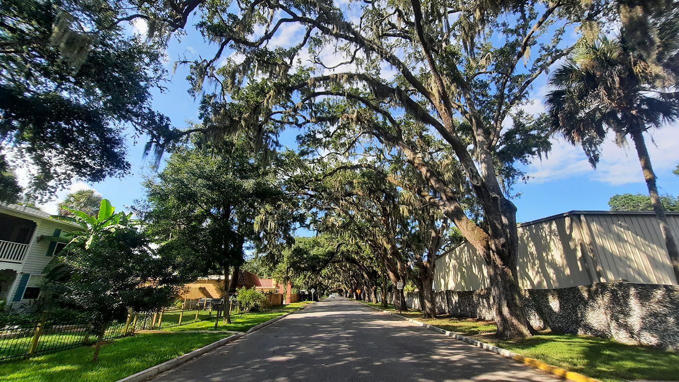 st.augustine florida us magnolia avenue oak