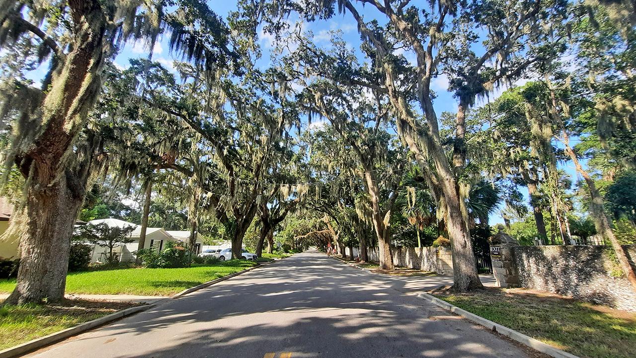 st.augustine florida us magnolia avenue oak trees