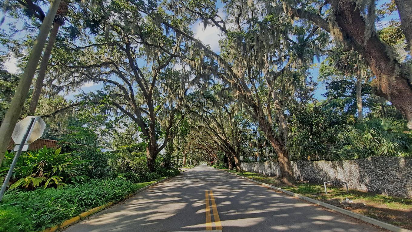 st.augustine florida us magnolia avenue shade