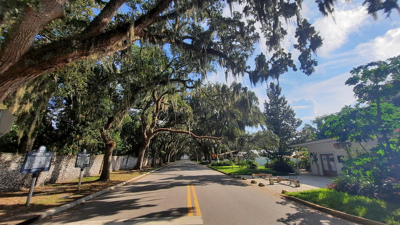 st.augustine florida us magnolia avenue tree canopy