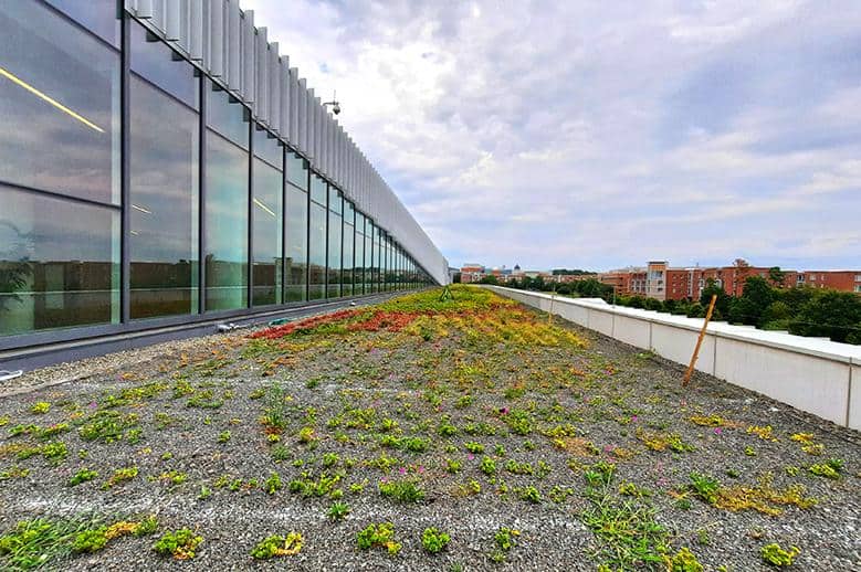 hunt library university north carolina us green roof