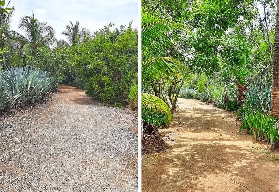 cabuya island cemetery costa rica pathway