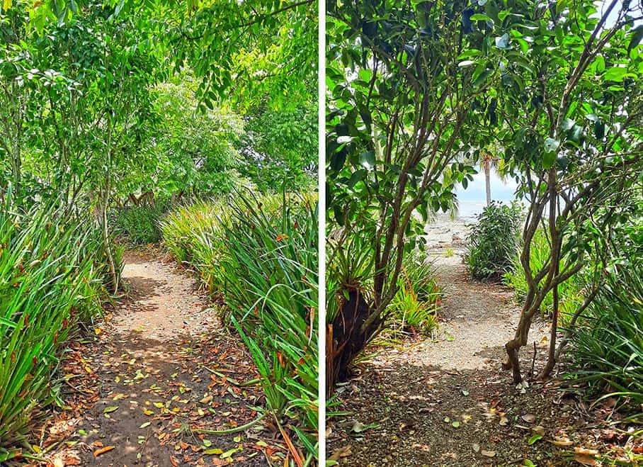 cabuya island cemetery costa rica pathway punta