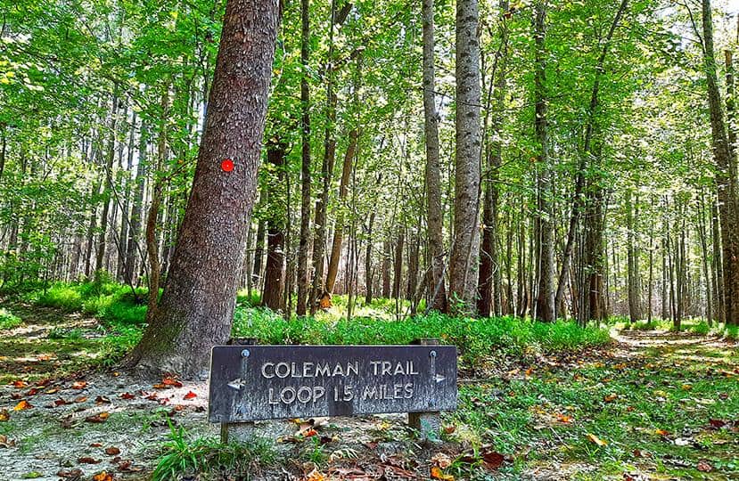 merchants millpond park north carolina us coleman trail loop