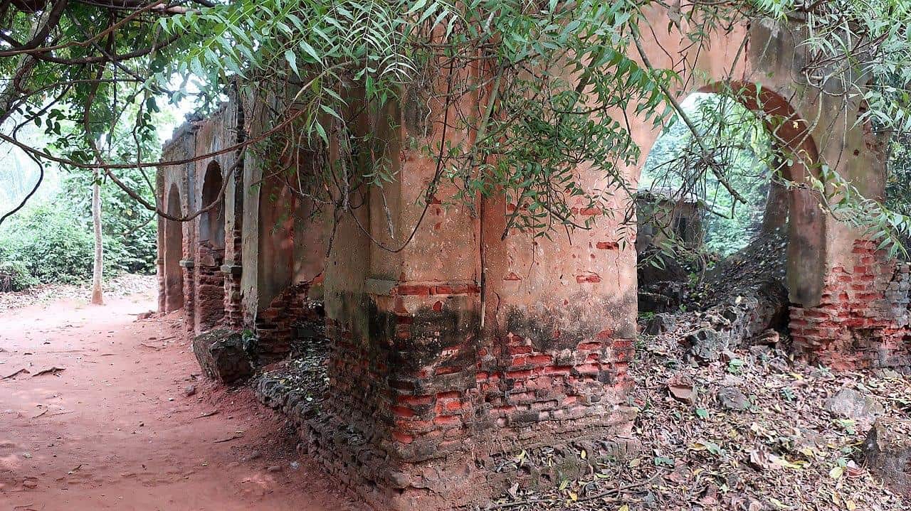 sacred forest kpasse ouidah benin ruins