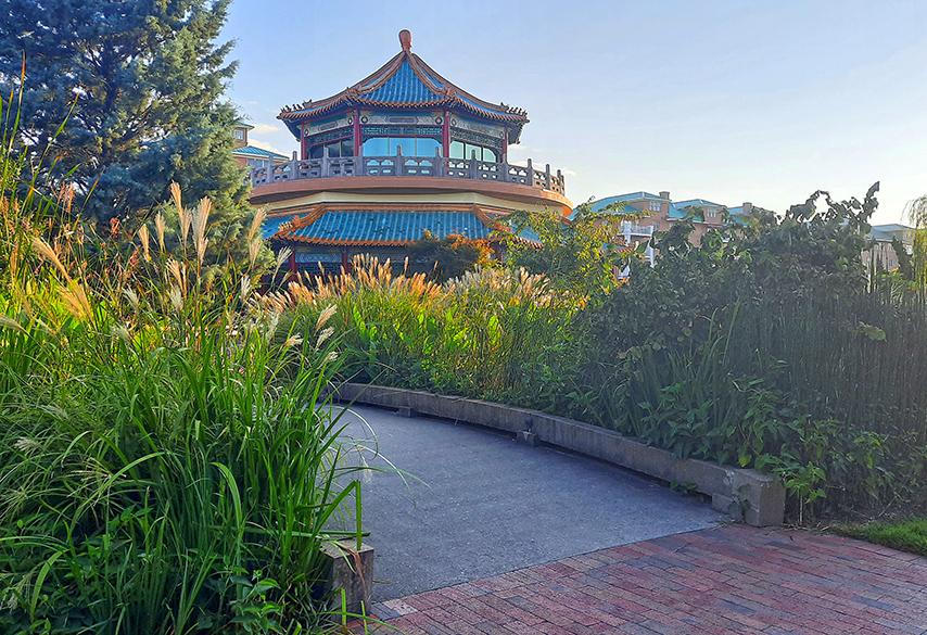 taiwanese garden norfolk virgina us building vegetation