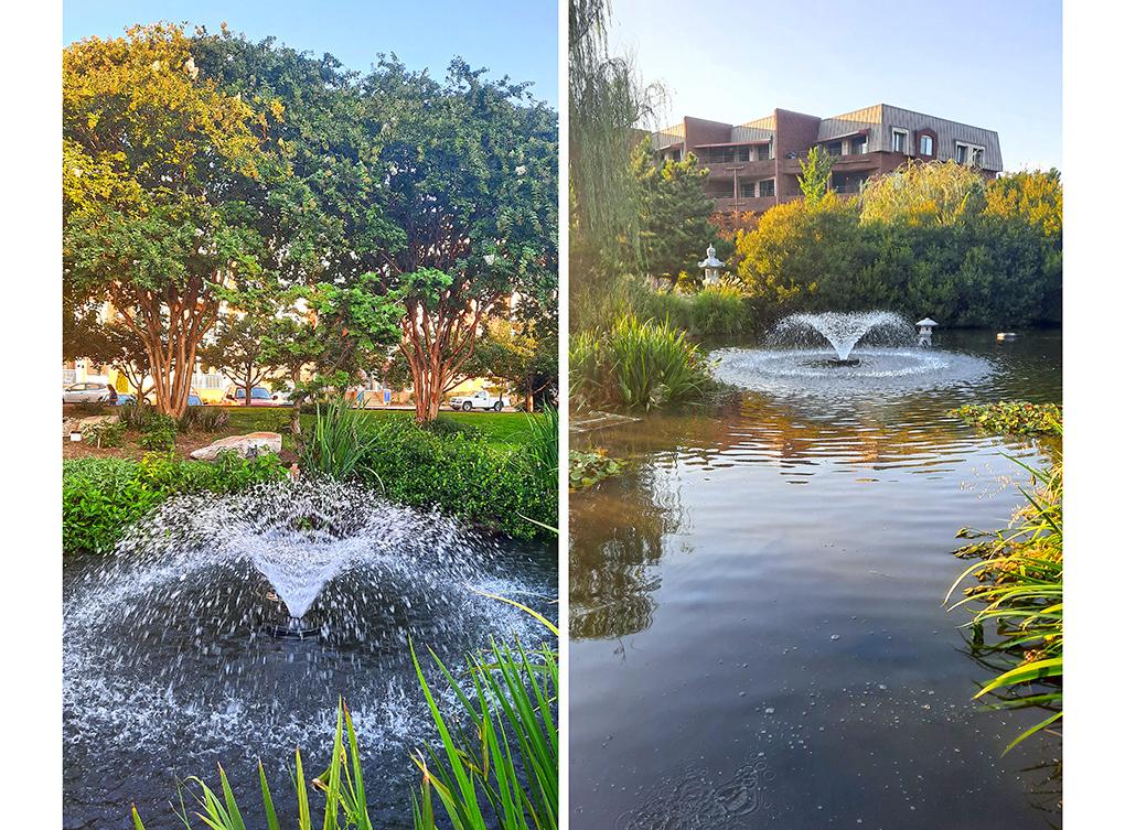 taiwanese garden norfolk virgina us pond