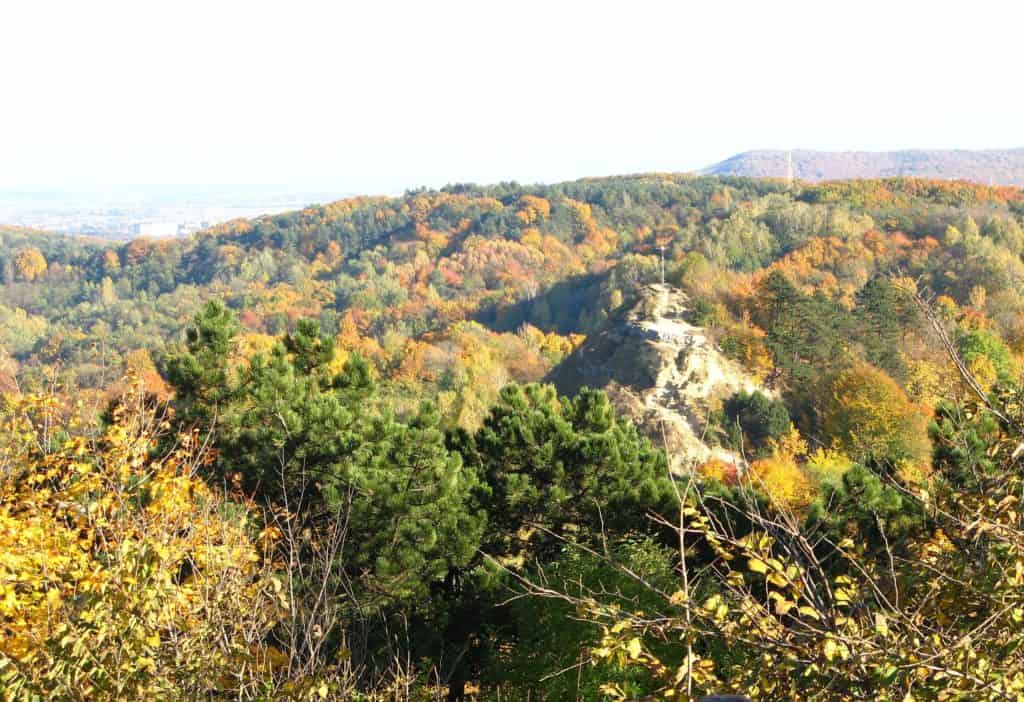 lion hill lviv ukraine woodland