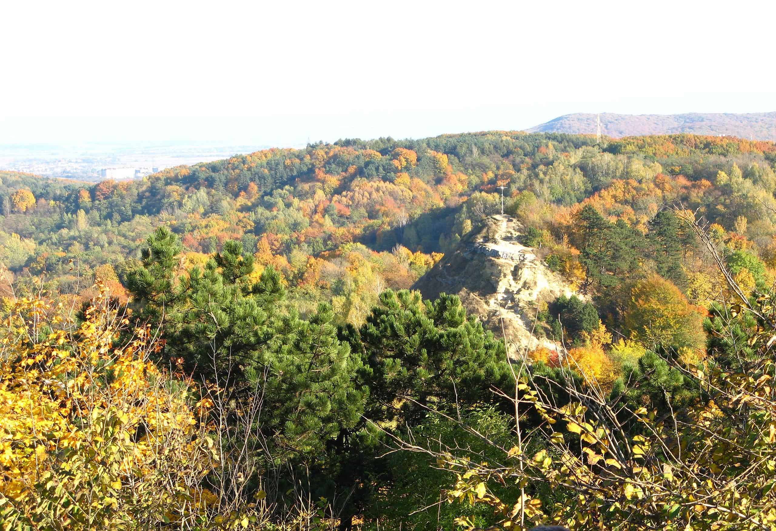 lion hill lviv ukraine woodland