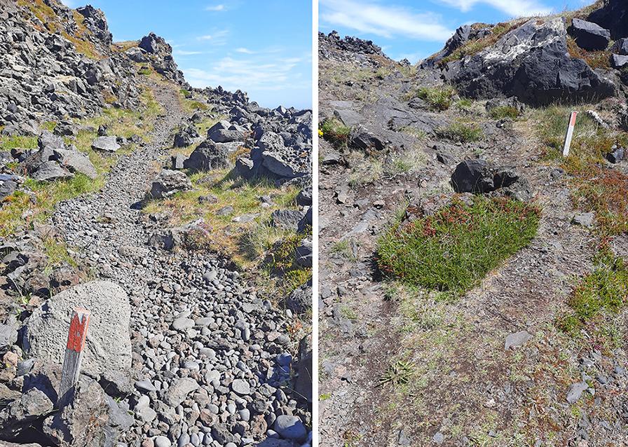 londrangar iceland paths
