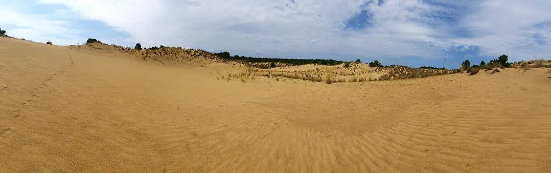 run hill nature preserve north carolina us dune panorama