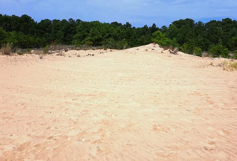 run hill nature preserve north carolina us dunes
