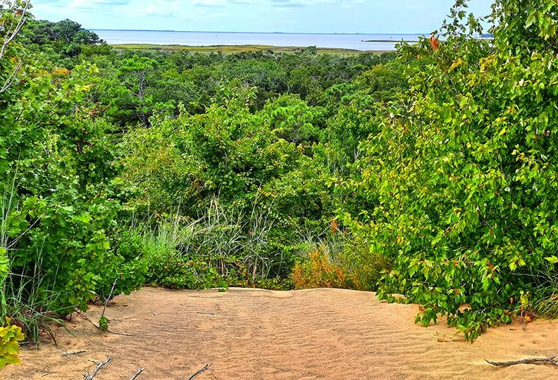 run hill nature preserve north carolina us nags head woods