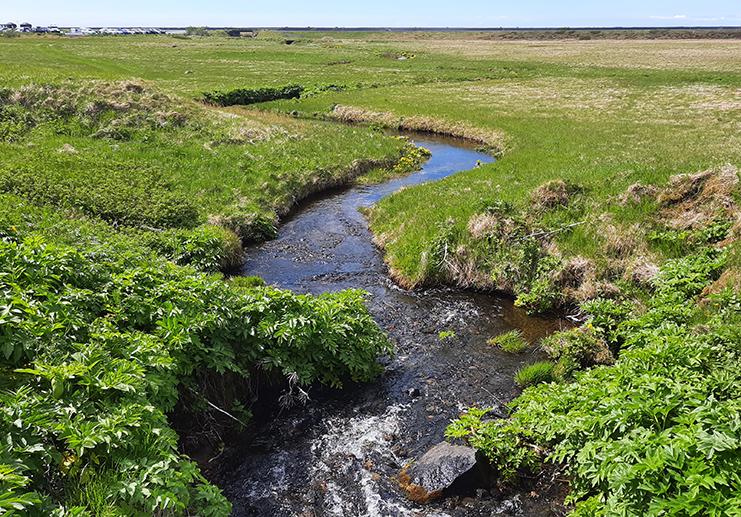 seljalandsfoss iceland small river