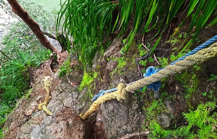 costa rica montezuma waterfall rope