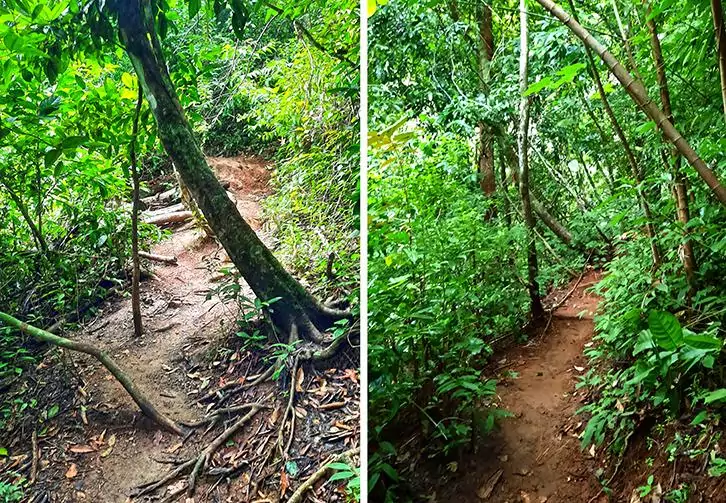 costa rica montezuma waterfall slippery trail 1