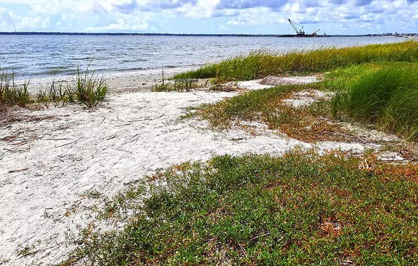 hog island charleston south carolina us coastline