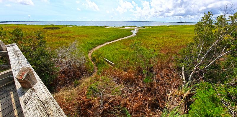 hog island charleston south carolina us lookout view