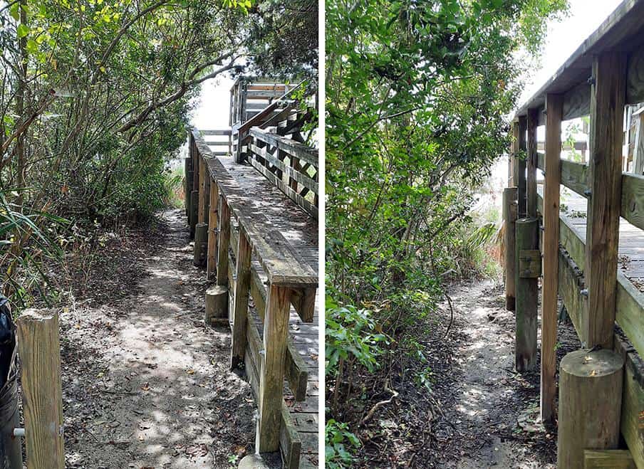 hog island charleston south carolina us narrow path