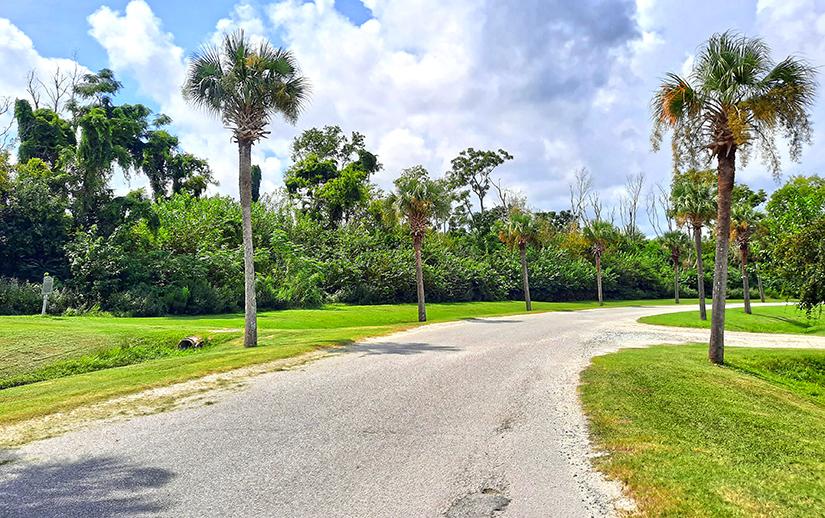 hog island charleston south carolina us road
