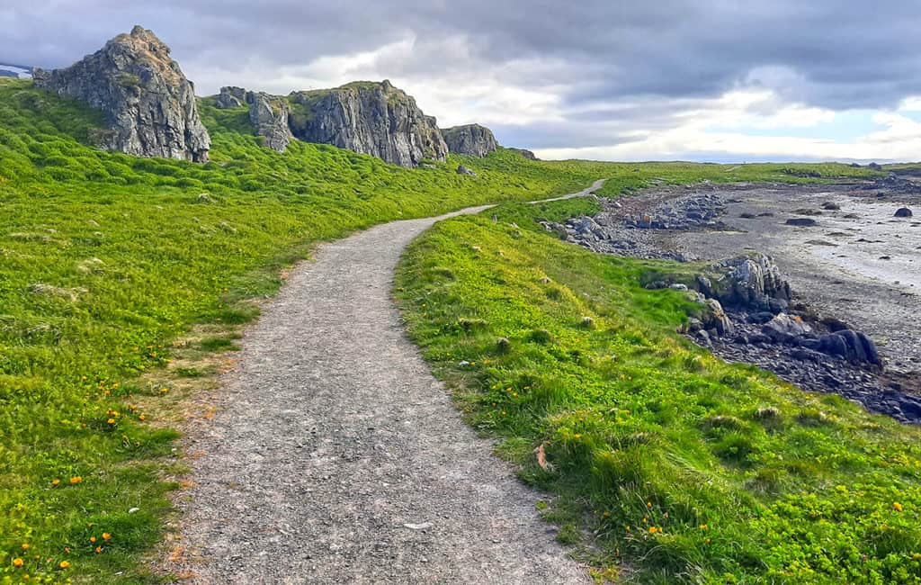 illugastadir seal beach iceland path