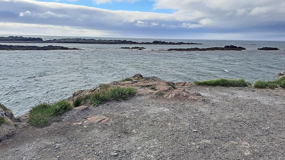 illugastadir seal beach iceland rocks ocean