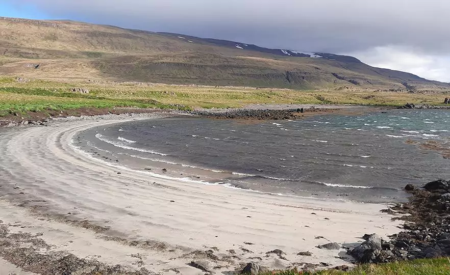 illugastadir seal beach iceland sandy beach