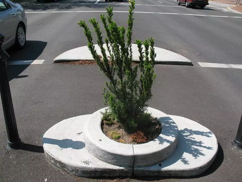 Mill Ends Park Portland Oregon smallest park in the world 3