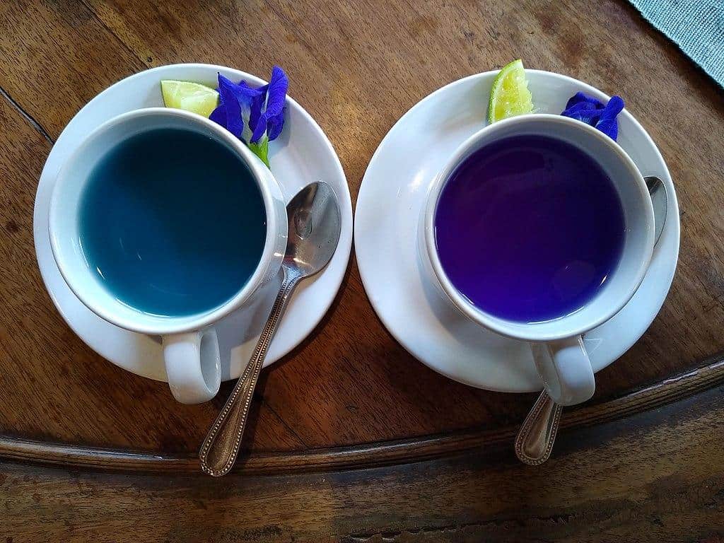 Butterfly Pea Flower Tea vietnam thailand