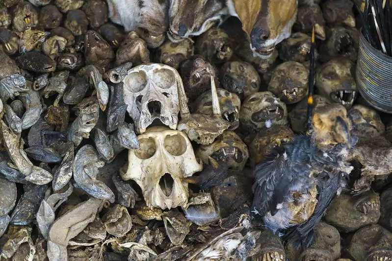 Lome Togo West Africa Akodessewa Fetish Market