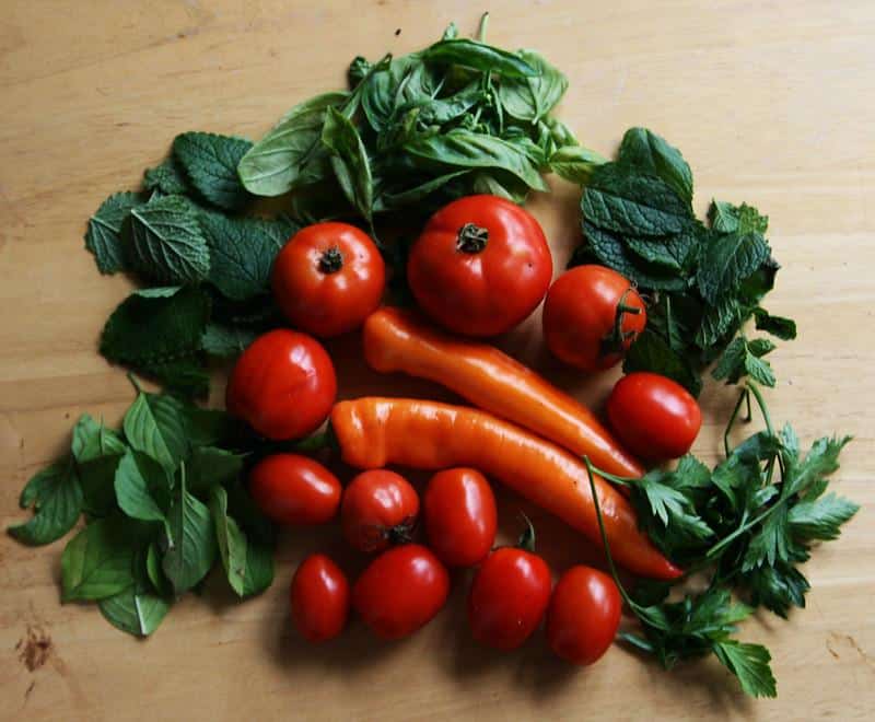 Tomato Mint