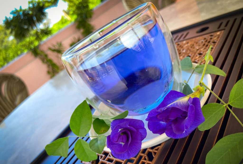 blue tea vietnam thailand