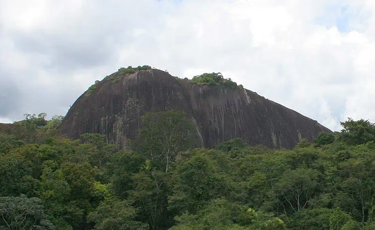 Voltzberg Mountain rainforest Suriname