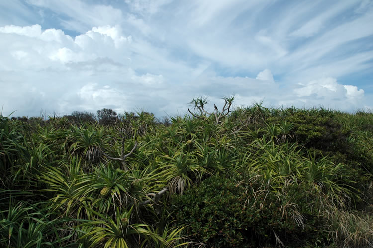 Kudaka Shima Okinawa Sacred Island Japan 1