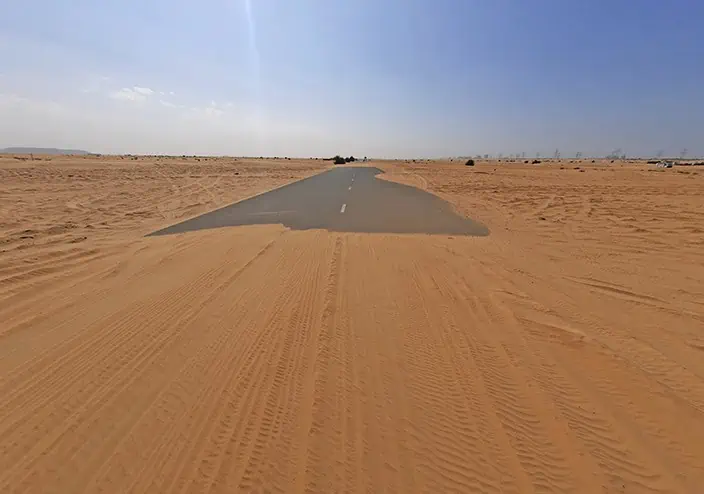Half Desert Dubai United Arab Emirates 10