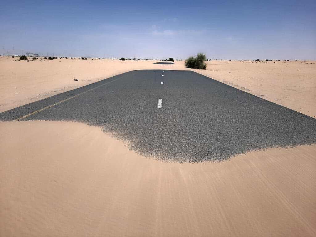 Half Desert Dubai United Arab Emirates 13