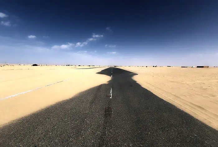 Half Desert Dubai United Arab Emirates 5